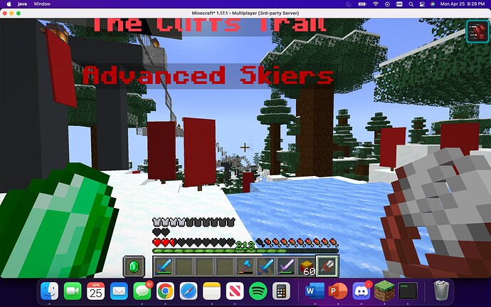 Screen Shot 2022-04-25 at 8.29.20 PM