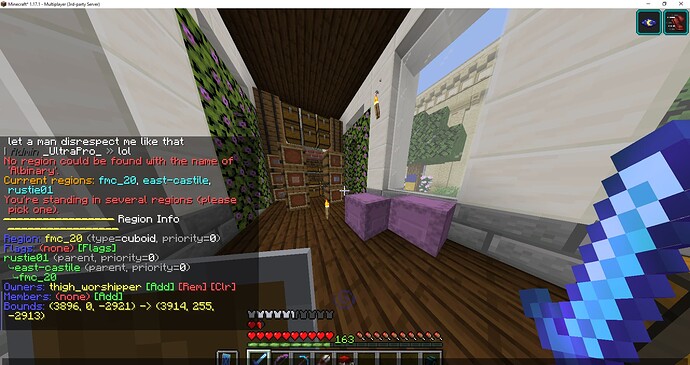 Minecraft_ 1.17.1 - Multiplayer (3rd-party Server) 13_06_2022 21_38_28